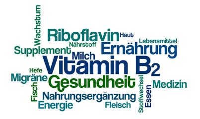 Word Cloud - Vitamin B2