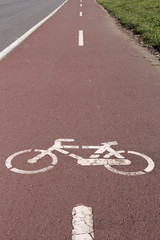 Obraz premium Paced bicycle line on road