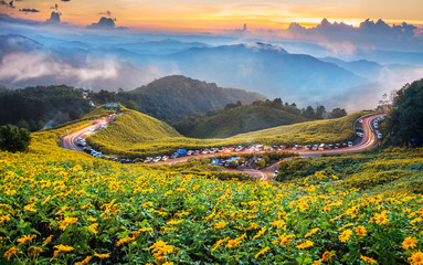 The landscape sunset twilight of beautiful Mexican sunflower in Tung Bua Tong  in Maehongson (Mae Hong Son) Province, Thailand.