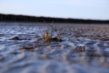 Wattenmeer an der Nordsee Küste bei Sonnenschein