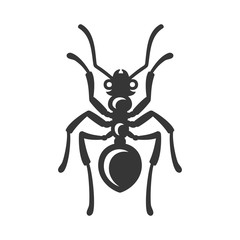 Ant Icon on White Background. Vector