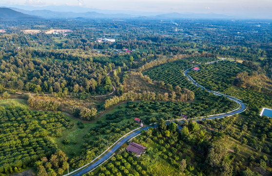 Bird eye view of high Mountain located Chiang Mai district ,Thailand