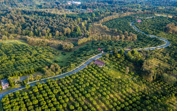 Bird eye view of high Mountain located Chiang Mai district ,Thailand