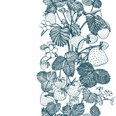 Strawberry seamless pattern. Isolated hand drawn illustration on white background. Organic healthy food.