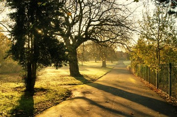 A colourful Autumn landscape in a city park.