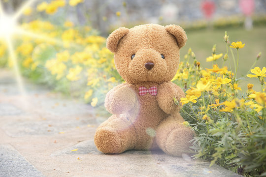 Teddy bear on a flower background blurred