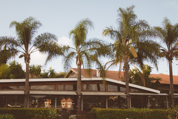 Restaurant building with palms.