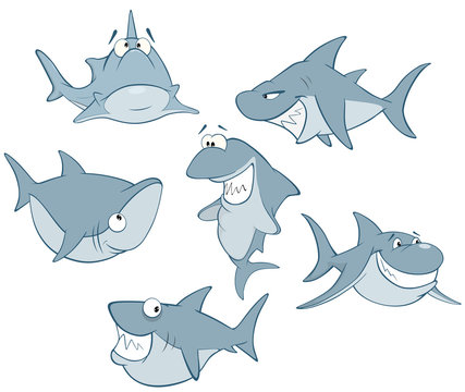Set of Cute Sharks for you Design. Cartoon Character