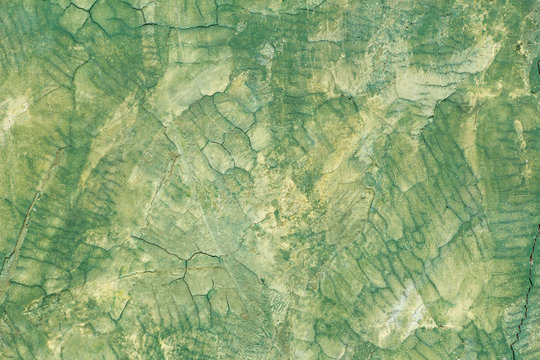 Green concrete wall texture