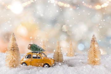 Christmas decoration with little car and tree on the roof.