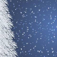 Christmas background with fir branches