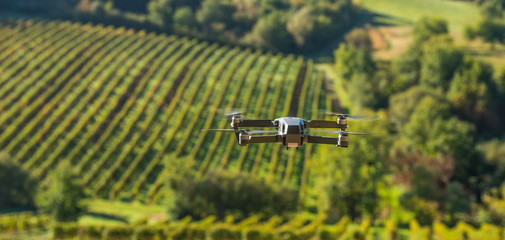 Drone flying above beautiful landscape with vineyards