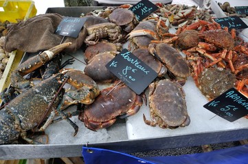 crustacean on market