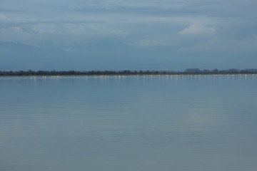 Naklejka premium Landscape of blue lake with pink flamingo in the distance