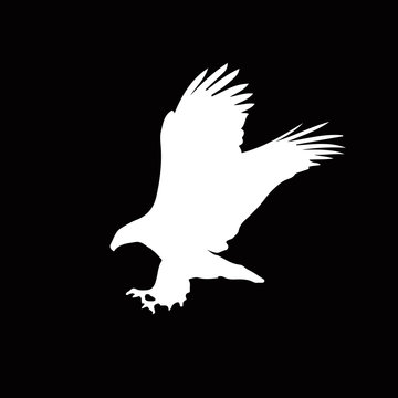 White silhouette of eagle  isolated on black background.