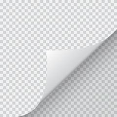Shape of bent angle is free for filling. Vector Illustration. - obrazy, fototapety, plakaty
