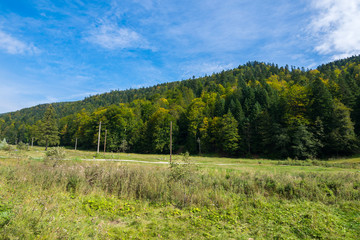 Walking from Busteni to Diham Cottage, Busteni, Bucegi National Park, Southern Carpathians Mountains, Transylvania, Romania