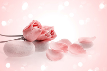 spa de flor y piedras