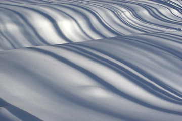 shadows in the snow