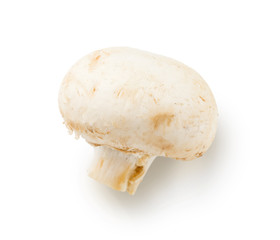 Champignon isolated on white background cutout