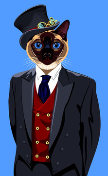 Portrait of cat in the men's business suit and hat