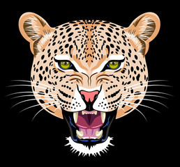 Fototapeta premium Portrait of a leopard