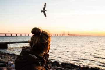 girl standing in malm&ouml; watching a seagull in front of the bridge over the great belt