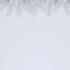 Christmas background with fir branches
