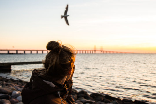 girl standing in malmö watching a seagull in front of the bridge over the great belt