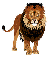 Naklejka premium Portrait of a standing lion