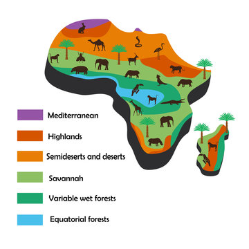 Infographics depict the natural climatic zones of Africa and the islands of Madagascar. African animals, birds and insects are traditional for these climatic zones.