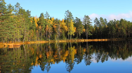 Bergslagen Forest Color,Sweden