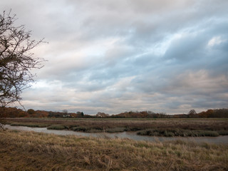 Fototapeta premium empty autumn fall bare stream landscape background