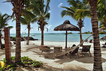 hammock on the beach