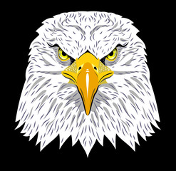 Portrait of an eagle 