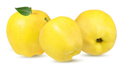 Fresh yellow apple isolated on white background with clipping path