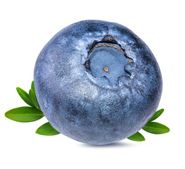 Fresh blueberry with leaf isolated on white background with clipping path