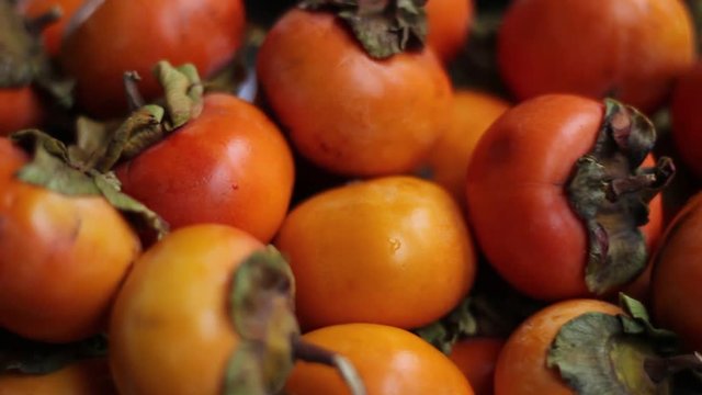 Japanese persimmon, Oriental persimmon, kaki persimmon