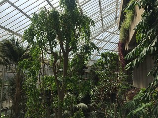Barbican's Green Conservatory