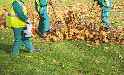 Workers cleaning fallen autumn leaves with a leaf blower