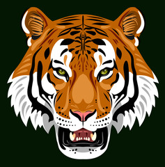 Portrait of a growling tiger