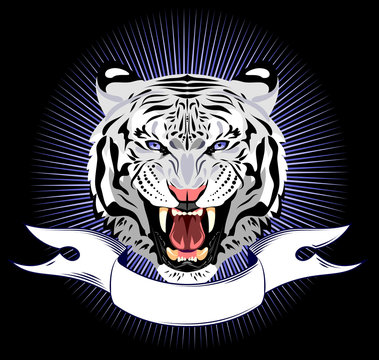 Portrait of a growling tiger on a banner background