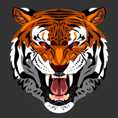 Portrait of a growling tiger