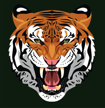 Portrait of a growling tiger