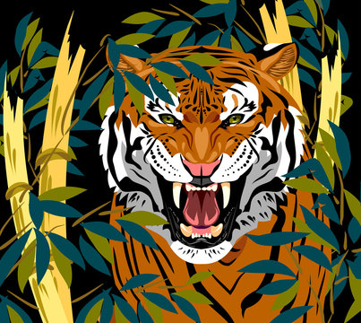 Portrait of a growling tiger in green bamboo thickets