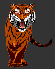 Portrait of a Ragged Tiger