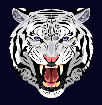 Portrait of a Ragged Tiger