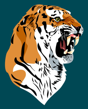 Portrait of a Ragged Tiger