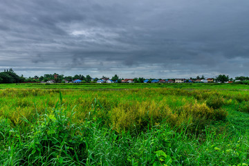 Background of nature
