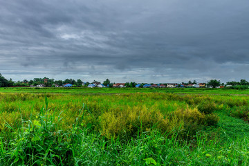 Background of nature